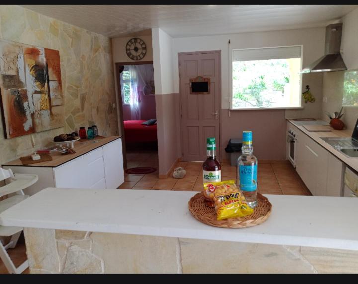 Villa Emmanuel le Plaisir des Vacances Sainte-Luce Extérieur photo